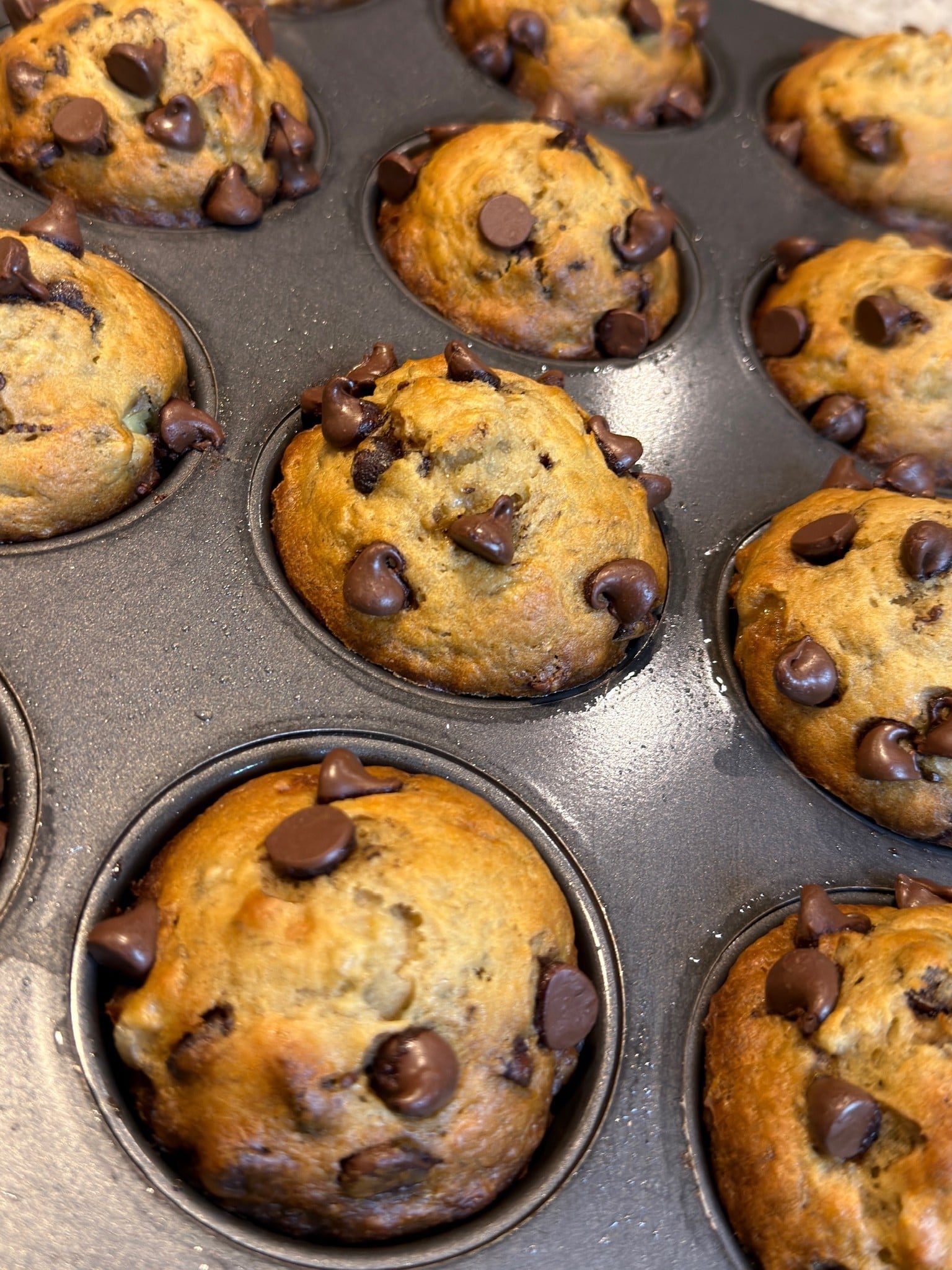 Banana chocolate chip muffins in a muffin pan.